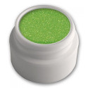 Glitter-Puder 2 g Farbe: hellgrün-glitzer