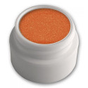 Glitter-Puder 2 g Farbe: neon-orange