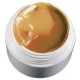 french-color-gel-caramel-5g